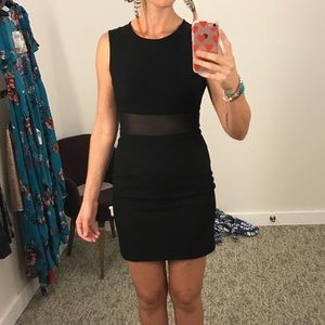 Elizabeth and James Black Mesh Panel Dress | 6